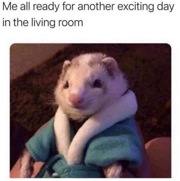 Meet your Posher, Lori anne - Picture 1 of 1